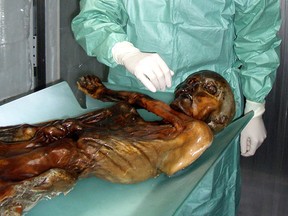 Undated picture released June 6, 2007 shows the frozen corpse of the mummified 5,300-year-old iceman named Otzi whose frozen body was discovered in a glacier in the Alps in 1991. (HO / AFP / Getty Images)