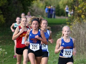 Runners compete in the high school cross-country championships at Malden Park Wednesday. (TYLER BROWNBRIDGE/The Windsor Star)