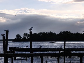 In this file photo, a boat drives down the Detroit River, seen from Front Road South in Amherstburg, Wednesday, July 16, 2014.  (RICK DAWES/The Windsor Star)