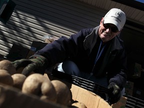 Cy McGrath organizes potatoes to be handed out at the downtown Mission, Saturday, Oct. 11, 2014.   (DAX MELMER/The Windsor Star)