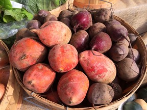 Golden beets, left, and red beets (BEATRICE FANTONI / The Windsor Star)