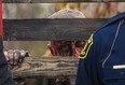 A zombie peers through a fence at a police-sponsored event in Michigan in this file photo. (Erin Kirkland / Associated Press / The Flint Journal)