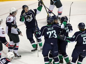 Plymouth Whalers Francesco Vilardi, centre, celebrates his goal with teammates Mathieu Henderson, left, Connor Sills, Matt Mistele and Tyler Sensky, right, as Windsor Spitfires Jamie Lewis, left, and Graeme Brown look on during OHL action at the WFCU Centre Friday November 28, 2014. The goal tied the game at 1-1. (NICK BRANCACCIO/The Windsor Star)