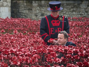Britain's Prime Minister David Cameron lays a poppy in the field of poppies at The Tower of London, Saturday Nov. 8, 2014. The poppies are part of a ceramic poppy installation called 'Blood Swept Lands and Seas of Red' which marks the centenary of the outbreak of the First World War.