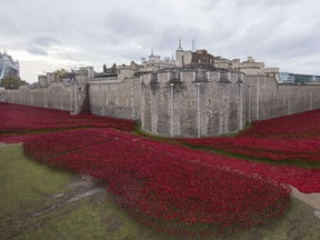 A general view shows the "Blood Swept Lands and Seas of Red" installation of ceramic poppies by artist Paul Cummins and theatre stage designer Tom Piper, marking the centenary of the outbreak of the First World War, in the moat area of the Tower of London in London on November 11, 2014. (Andrew Cowie/Getty Images)