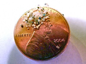 A sample of "microbeads" collected in eastern Lake Erie is shown on the face of a U.S/ penny. (Courtesy of 5gyres.org, Carolyn Box, File)