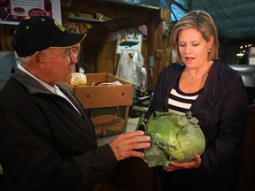 Provincial NDP leader, Andrea Horwath, speaks visits with Ron Calasanti at Colasanti's Tropical Gardens in Ruthven, Ont., Saturday, Oct. 1, 2011.  (DAX MELMER / The Windsor Star)