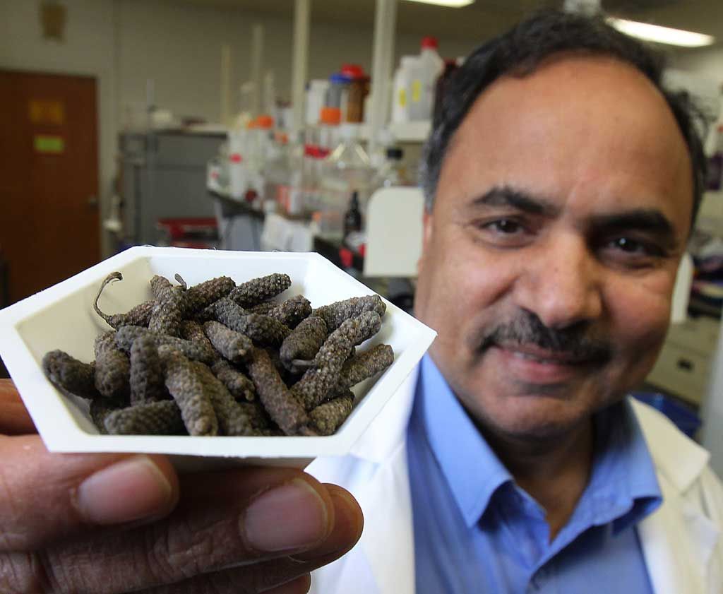 New research fruit extract may cause cancer cells to kill themselves