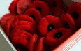 A box full of poppies for donations to the Royal Canadian Legion, at the Devonshire Mall in Windsor on Friday, November 7, 2014.                     (TYLER BROWNBRIDGE/The Windsor Star)