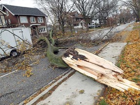 Crews work to clear a tree branch that fell across Victoria Avenue in Windsor on Monday, November 24, 2014. High winds downed trees and power lines across Essex county.                    (TYLER BROWNBRIDGE/The Windsor Star)