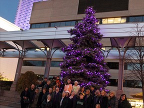 The tree in Charles Clark Square was light up with purple lights during a vigil in Windsor on Monday, November 3, 2014. The tree will remain purple for the month of November to raise awareness of domestic abuse. Caesars Windsor was also bathed in purple.                    (TYLER BROWNBRIDGE/The Windsor Star)