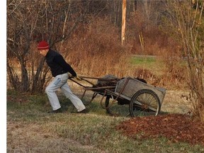 Carting leaves to spread beneath trees and shrubs offers many benefits from a perspective of soil, plants, and — because weeds are suppressed — also gardeners in New Paltz, N.Y. (AP Photo/Lee Reich)