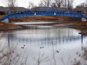 Open water this year at Blue Heron Pond due to milder weather Thursday December 18, 2014.  Last year, Blue Heron Pond was frozen, allowing for skaters to enjoy outdoor activities. (NICK BRANCACCIO/The Windsor Star)