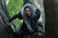 Meryl Streep appears in a scene from "Into the Woods." (AP Photo/Disney Enterprises, Inc., Peter Mountain)
