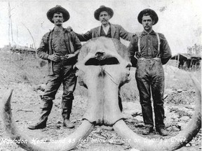 Klondike-era miners display the remains of an extinct mastadon dug up in the hunt for gold a century ago.  (Postmedia News Files)