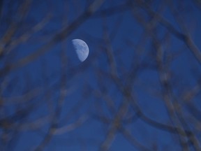 The moon is seen through a group of trees on a clear day in Windsor on Monday, December 29, 2014.  (TYLER BROWNBRIDGE/The Windsor Star)