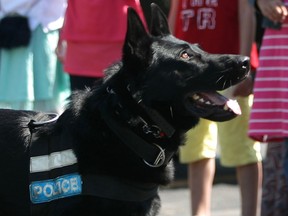 Rony, a Windsor police dog, is shown in this May 2014 file photo. (Dax Melmer / The Windsor Star)