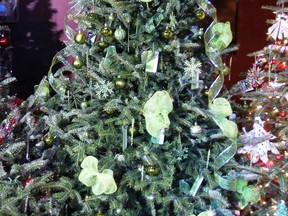 Christmas tree auction: TD Bank