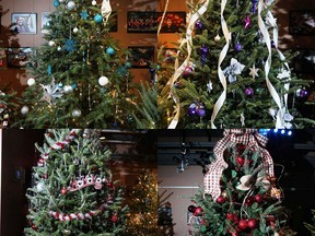 A collection of Christmas trees in the Windsor Star News Cafe are pictured in this photo collage. (THE WINDSOR STAR)