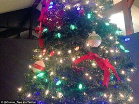The OXmas Tree's Twitter page has shared photographs of the lit tree after fans tweeted.