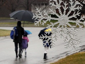 In this file photo, a winter snow ornament  hangs on a a tree as  parent and children walk in the rain near Lake Trail Drive in Windsor, Ontario on Jan. 17, 2012. (JASON KRYK/ The Windsor Star)