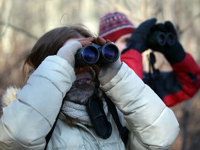 Naturalist Karen Cedar, left, leads birdwatchers New Years Day at Ojibway Nature Centre January 1, 2015. (NICK BRANCACCIO/The Windsor Star)