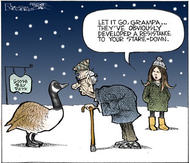 Mike Graston's Colour Cartoon For Friday, January 30, 2015
