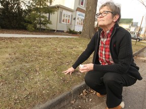 Karen Fisk, a homeowner on the 500 block of Kildare Rd., next to a heritage curb in front of her home that she wants removed in order to pave a driveway, Friday, Jan. 2, 2015. (DAX MELMER/The Windsor Star)