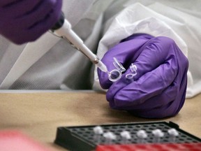 A forensics trainee prepares samples for DNA testing at a lab with the Office of the Chief Medical Examiner of New York in this April 2014 file photo. (Bebeto Matthews / Associated Press)