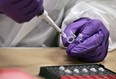 A forensics trainee prepares samples for DNA testing at a lab with the Office of the Chief Medical Examiner of New York in this April 2014 file photo. (Bebeto Matthews / Associated Press)
