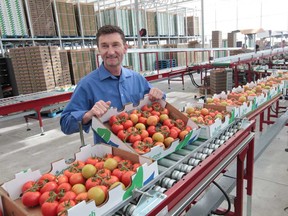 Peter Quiring, owner of Leamington-based Nature Fresh Farms, the largest independent greenhouse produce grower in Canada, has announced plans for a massive new greenhouse complex in northwestern Ohio. (Windsor Star files)
