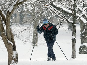 Irv Rosenberg, of Boston, uses cross country skis on the Esplanade in Boston, Saturday, Jan. 24, 2015. A winter storm warning covering Boston and Hartford, Connecticut was in effect through 7 p.m. as the National Weather Service said to expect 4 to 8 inches of wet snow to fall by the time the storm moves out. (AP Photo/Michael Dwyer)