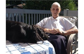 Richard "Jack" Bennett, 84 years old, with his dog Pipi at their home in Chateauguay. Pipi is being credited with something resembling a canine cure for helping to awaken 84-year-old Bennett from a coma after all else had seemingly failed. (Courtesy of Susan Bennett/Postmedia News)