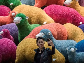 A woman takes a selfie in front of a multi coloured sheep installation displayed in a shopping mall for the Chinese New Year celebrations in Hong Kong on February 18, 2015. The Chinese Lunar New Year of the Sheep begins on February 19.
