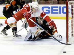 Detroit's Justin Abdelkader, left, trips over Anaheim goalie John Gibson during the first period Monday in Anaheim. (AP Photo/Chris Carlson)