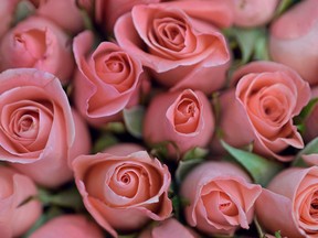 A bouquet of roses says 'Valentines Day' no matter what their colour. (Getty Images files)
