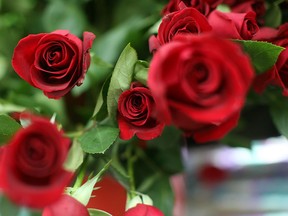 Flowers are displayed on the day before Valentines day in the flower district on February 13, 2009 . (RICK GERSHON/Getty Images)