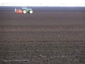 A worker at Crystal Farms Ltd. in Leamington checks his seeder in this 2010 file photo. (Sharon Hill / The Windsor Star)