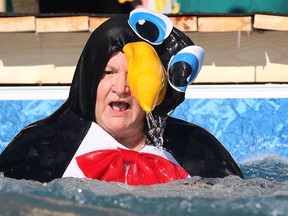 A polar plunge event was held at the St. Clair College main campus on Thursday, Feb. 5, 2015, raising funds for the Special Oympics. An assortment of brace divers jumped into an ice cold pool. A penguin-themed diver is shown after the splash-down. (DAN JANISSE/The Windsor Star)