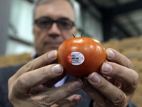 Jim DiMenna, president of Red Sun Farms in Kingsville on Feb. 12, 2015. (JASON KRYK/The Windsor Star)