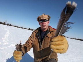 Tom Byrne picks up a pair of feathers from a flock of wild turkeys on his crop field, Friday, Feb. 27, 2015.  This week snowmobilers allegedly tried to run down a flock of wild turkeys.  (DAX MELMER/The Windsor Star)