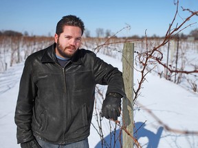 Jake Mitchell, co-owner of Sprucewood Shores Estate Winery, stands amongst the snow covered grape vines Monday, Feb. 23, 2015.  The recent cold weather has taken a toll on the vines.  (DAX MELMER/The Windsor Star)