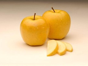 Non-browning Arctic golden apples are shown in a handout photo. As Canadian orchardist Neal Carter watched carrots go from a boring vegetable that people thoughtlessly tossed into soup to a popular on-the-run snack, he wondered if there was a way to turn the humble apple into the next convenience food craze.