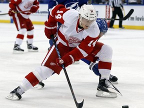 Detroit's Gustav Nyquist, right, avoids a check by Tampa Bay's Mark Barberio during the first period Friday in Tampa, Fla. (AP Photo/Mike Carlson)