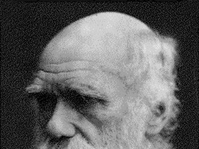 US SCIENTISTS BATTLE OVER ANTI-DARWIN "INTELLIGENT DESIGN" THEORY:  This undated image received 30 November, 2004 from the University of Virginia shows Charles Darwin. It was reported 06 March, 2005 that the US science community is embroiled in a caustic fight over the theory that a higher intelligence and not Darwinist evolution is largely responsible for life on Earth. Intelligent design, which holds that only an unspecified superior intellect can account for the complexity of life forms, is increasingly appearing in science forums and journals as an alternative to evolution theory. Evolution has been widely accepted ever since Charles Darwin's "Origin of Species" revolutionized biological sciences 145 years ago. But the new theory's support by a handful of biologists and non-scientists has put Darwinists on the defensive, while encouraging conservative Christian groups who consider evolution hostile to Biblical teachings. Pro-evolutionists brand the new idea an unscientific melange of politics and religion. AFP PHOTO/HO  HO/AFP/Getty Images)   CNS-DARWIN