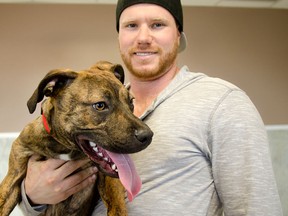 Derek holds an excited Reno at the Windsor/Essex County Humane Society, Thursday. Reno's health transformed with the help of the Humane Society, and he is now ready to start again happily and healthily with new dad Derek and dog brother, Jaxson. (Gabrielle Smith/Special to the Windsor Star)