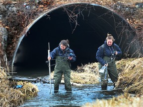 Ohio lawmakers are close to agreeing on a plan aimed at reducing farm runoff that feeds the toxic algae in Lake Erie. Sarah Baldo, left, and Mackenzie Porter, water quality technicians with ERCA are shown Monday, March 23, 2015, doing phosphorus sampling in the Mill Creek in Kingsville, which is a direct tributary to Lake Erie. (DAN JANISSE/The Windsor Star)