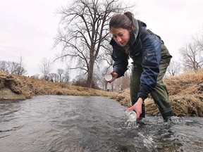 Ohio lawmakers are close to agreeing on a plan aimed at reducing farm runoff that feeds the toxic algae in Lake Erie. Sarah Baldo, a water quality technician with ERCA is shown Monday, March 23, 2015, doing phosphorus sampling in the Mill Creek in Kingsville, ON. which is a direct tributary to Lake Erie. (DAN JANISSE/The Windsor Star)
