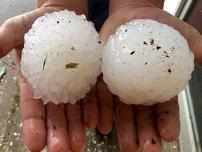 This April 26, 2015 photo provided by Ben McMillan shows two large hailstones that fell near Rising Star, Texas, about 150 miles southwest of Dallas. A severe storm system that swept across parts of Texas over the weekend brought numerous reports of tornadoes, damage to buildings, large hail and several inches of rain, the National Weather Service said Monday, April 27, 2015.