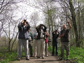 Files: The Festival Of Birds begins May 1-18th at Point Pelee National Park. (Windsor Star files)